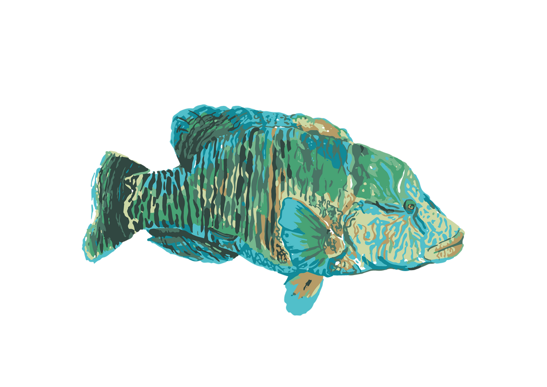 Designing The Red Sea Collection